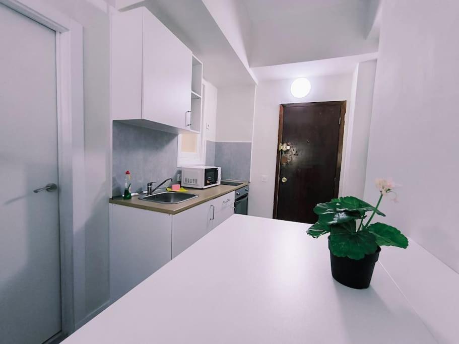 Apartamentos Carrillo 7 Santa Cruz de Tenerife Dış mekan fotoğraf